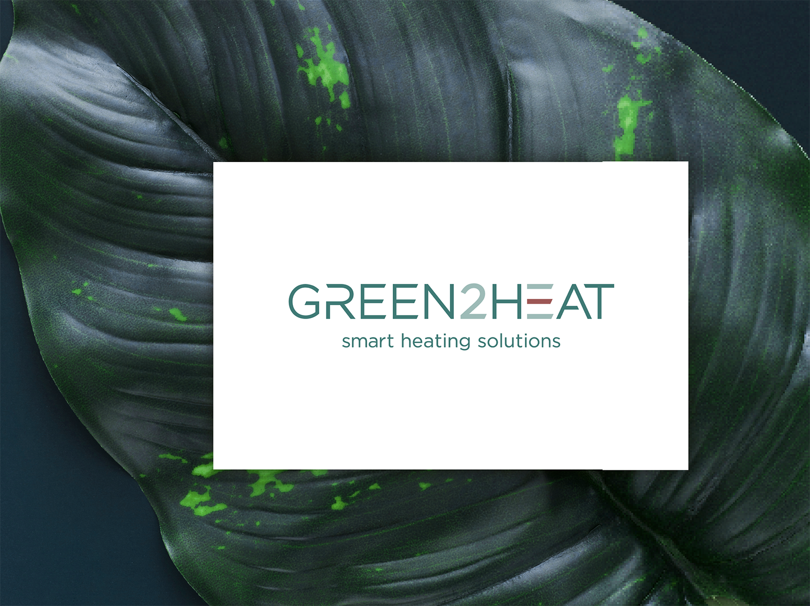 Green2Heat smart heating solutions Heizung Heizungssystem Innovativ Nachhaltig